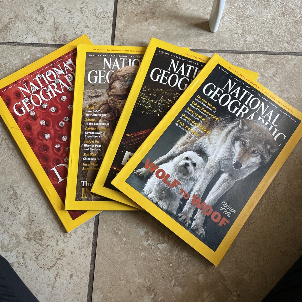 national geographic magazine 2002 Wolf‎ Islam Volcano Cuba Inca Diamonds Bears